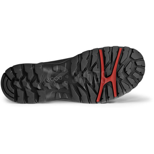 Обувь для мужчин Ecco Xpedition 3 811414 02001 E-shoes. Цена